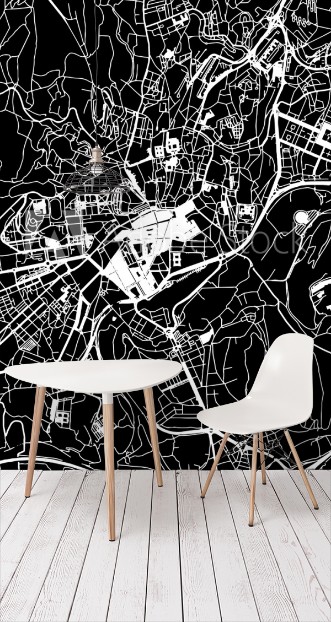 Picture of Santiago de Compostela Vector Map